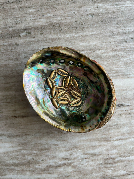 Abalone schelpen bakje