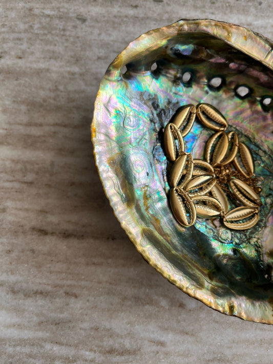 Abalone schelpen bakje
