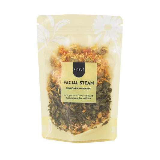 Facial steam